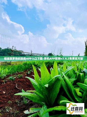 福建菠萝导航隐藏APP入口下载-手机APP官网v2.4.2免费官方版